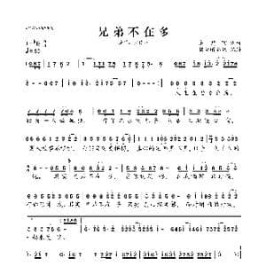 兄弟不在多_歌曲简谱_词曲:成鹏飞 成鹏飞