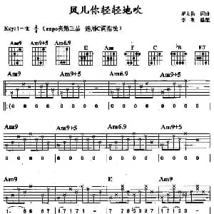 风儿你轻轻地吹 吉他谱 罗大佑 罗大佑