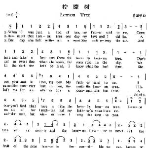 Lemon Tree 美国 _外国歌谱