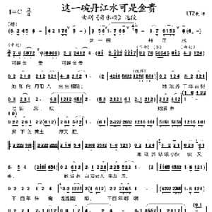 这一晚丹江水可是金贵_歌曲简谱
