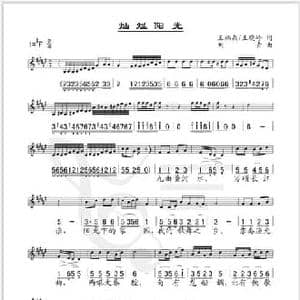 灿烂阳光_民歌简谱