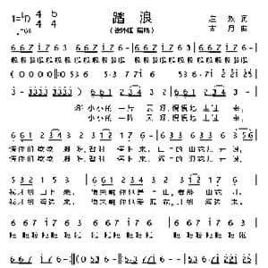 踏浪_歌谱投稿_词曲:庄奴 古月