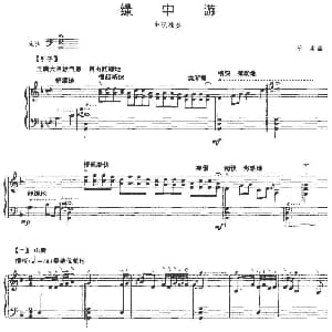 绿中游 中阮独奏 宁勇