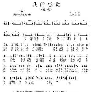 我的感觉_通俗唱法乐谱_词曲:大民 段鹤聪