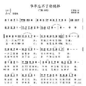 华亭,忘了了你模样_民歌简谱_词曲:折建锋 李建文 韩晓辉