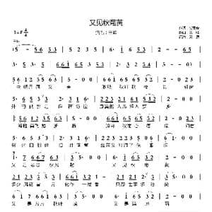 又见秋菊黄_歌曲简谱_词曲:贺灵安 王峰