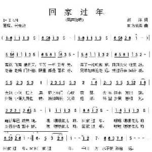 回家过年_民歌简谱_词曲:赵洋 东方成亮