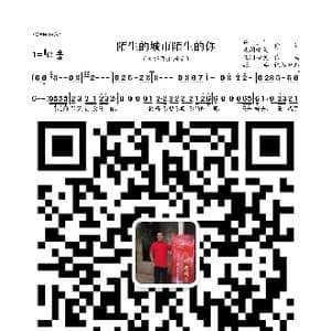 陌生的城市陌生的你_歌曲简谱_词曲:许文华 凡间精灵 凡间精灵