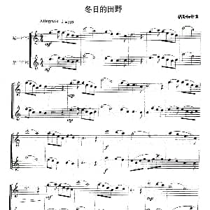 冬日的田野 二声部 福斯特