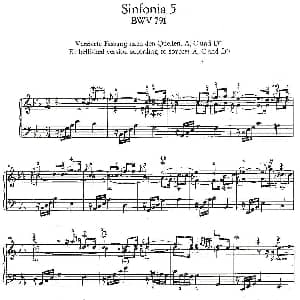 Sinfonia 5 BWV 791 钢琴谱 巴赫
