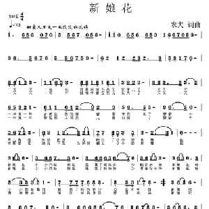 新娘花_通俗唱法乐谱_词曲:农夫 农夫