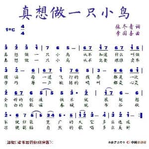 真想做一只小鸟_歌谱投稿_词曲:张冬青 李国喜