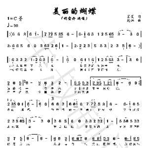 美丽的蝴蝶_歌谱投稿_词曲:荣荣 赵阳