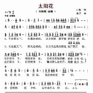 太阳花_歌曲简谱_词曲:小勤 溪子