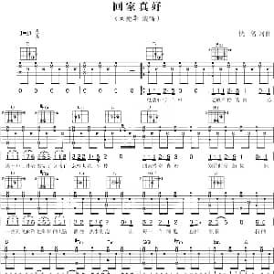 回家真好 吉他谱 刘德华