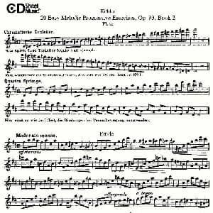 长笛曲谱 | 柯勒练习曲作品93号 二