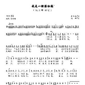 我是一棵簕杜鹃_歌谱投稿_词曲:李旦明 姚峰