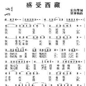 感受西藏_民歌简谱_词曲:索向传 荣亚楠