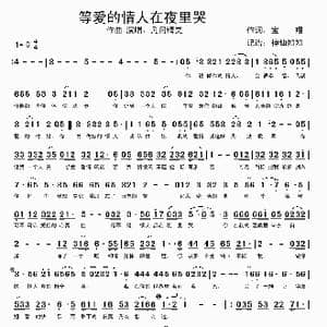 等爱的情人在夜里哭_歌谱投稿_词曲:宝翔 宝翔