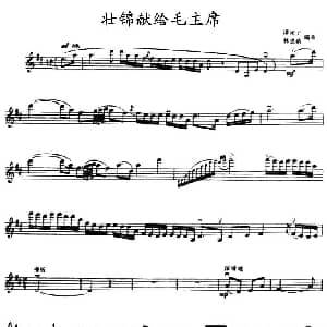 小提琴谱 | 壮锦献给毛主席 谭密子 林恩蓓