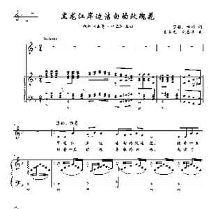 黑龙江岸边洁白的玫瑰花_歌曲简谱_词曲:丁毅 田川 王云之 刘易民