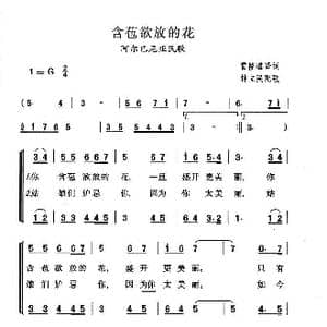 含苞欲放的花_歌谱投稿