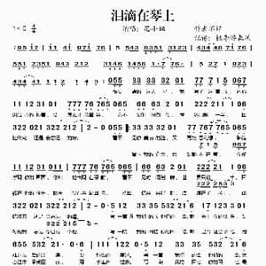 泪滴在琴上_歌谱投稿