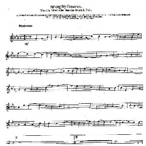 萨克斯谱 | Among My Souvenirs