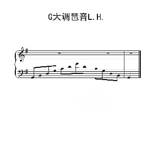 第二级 G大调琶音L H 钢琴谱