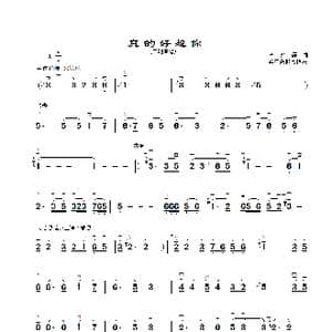 真的好想你_歌曲简谱_词曲: 李汉颖