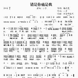 错是你痛是我_歌谱投稿_词曲:杨海霞 小多