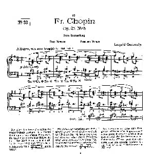 53首以肖邦练习曲为素材而作的练习曲 钢琴谱 里奥鲍尔德 戈多夫斯基