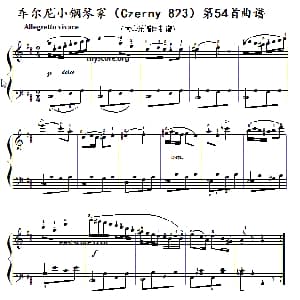 车尔尼 小钢琴家 钢琴谱