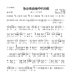 ​你是我夜晚哼唱的歌_歌曲简谱_词曲:张丰 陈超 张丰