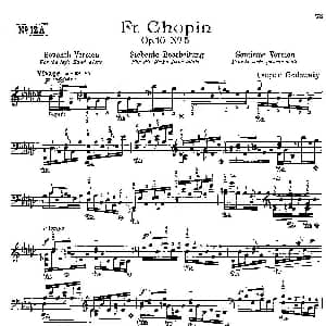 53首改编练习曲 钢琴谱 里奥鲍尔德 戈多夫斯基