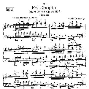 53首改编练习曲 钢琴谱 里奥鲍尔德 戈多夫斯基