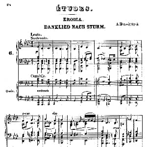 Douze Etudes de Salon Op.5 钢琴谱 阿道夫 冯 亨赛尔特