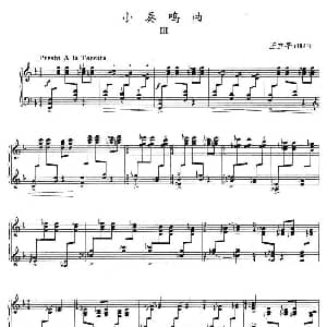 小奏鸣曲 钢琴谱 王立平