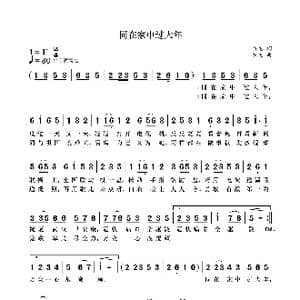 同在家中过大年_歌曲简谱_词曲:袁龙 袁龙