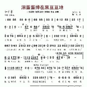 泪蛋蛋掉在黑豆豆地_歌谱投稿_词曲:尚飞林 陶龙