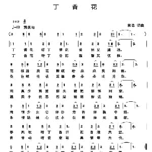丁香花_通俗唱法乐谱_词曲:袁浩 袁浩