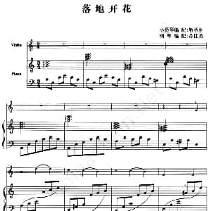 小提琴谱 | 落地开花 小提琴 钢琴伴奏 解承刚小提琴 苏桂英钢琴