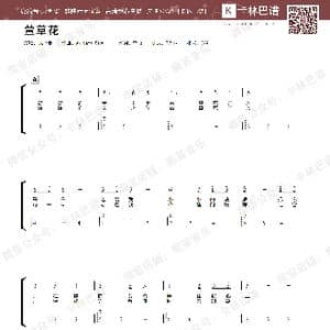 萱草花_歌谱投稿_词曲:张小斐 张小斐