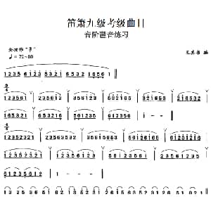 笛箫九级考级曲目 音阶琶音练习 王其书编曲