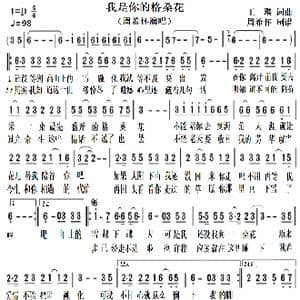我是你的格桑花_歌曲简谱_词曲:王琪 王琪