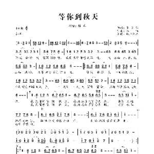 等你到秋天_歌曲简谱_词曲:张灵茹 陈伟