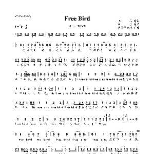 FREE BIRD_歌曲简谱_词曲:张海 祈合
