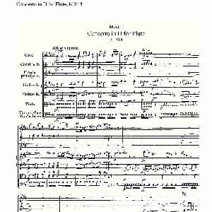 长笛曲谱 | Concerto in D for Flute, K.314 D调长笛协奏曲, K.314