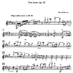 小提琴谱 | Don Juan Op.20 管弦乐选录 ARCT级 理查德 施特劳斯