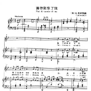 请你别忘了我 意大利 _外国歌谱_词曲: 意 E.库尔蒂斯